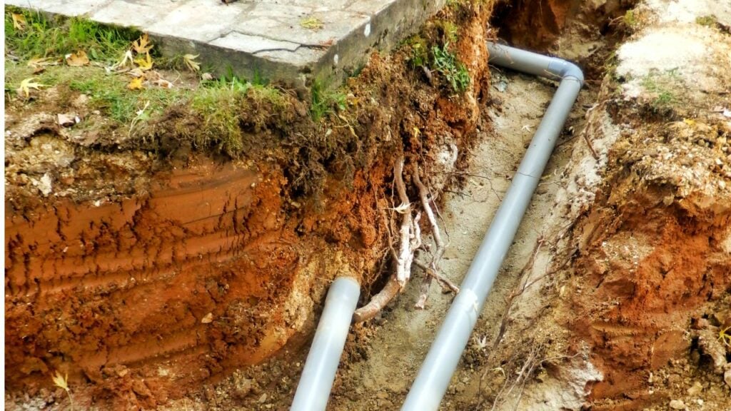 signs of a damaged sewer line in a South Jersey backyard