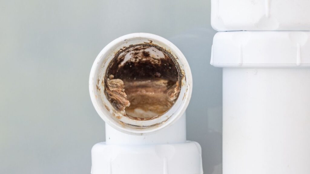 clogged drain trap